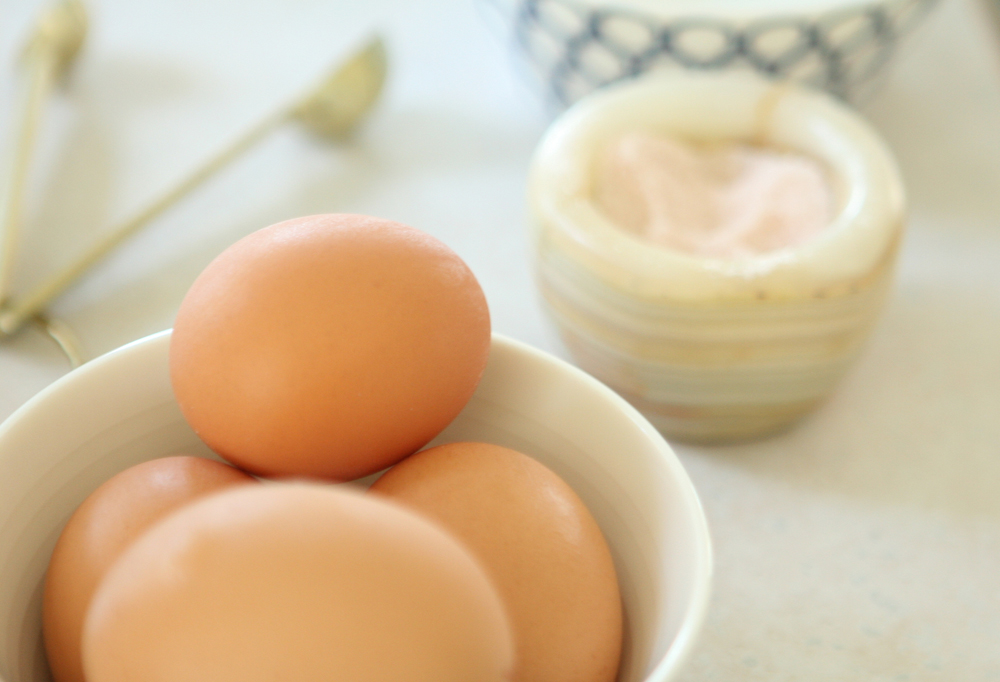 Natasha Asselstine Nutrition | Coconut Cupcakes #dairy free #gluten free #gaps #paleo #scd