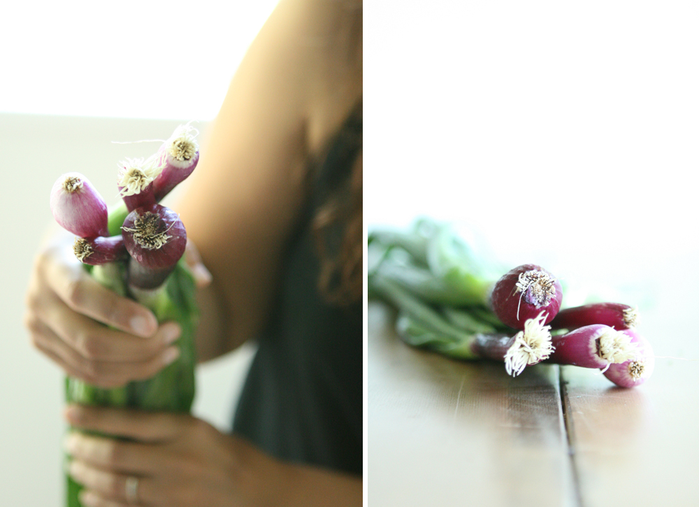 Natasha Asselstine Nutrition | Kookoo Sabzi